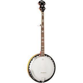 Washburn Americana Series 5 String Banjo in Saudi Arabia