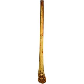 Handmade Didgeridoo Root Eucalyptus 59" length, Big bell end, tiny repair on the surface, no any affect to the sound, discounted price in Saudi Arabia