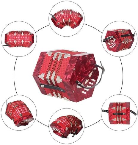 Button Anglo Concertina Concertina Concertina 20 Key Anglo-style Concerto Portable Hexagon Actorion Child Child Junior Professional Professional Musical Musical Music in Kuwait