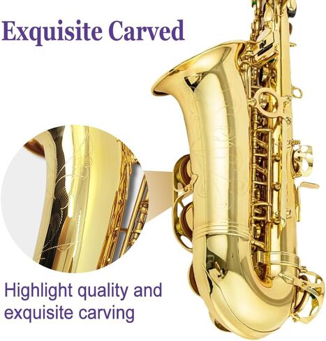 Alto Saxophone E Flat for Adults Student Sax Eb Alto Full Kit With Carrying Sax Case Mouthpiece Straps Reeds Saxophone Beginner Kit in Kuwait