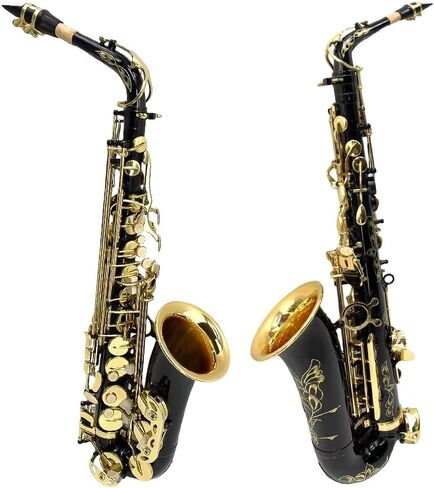 Alto Saxophone E Flat للبالغين طالب Sax eb alto مجموعة كاملة مع حمل ساكس علبة أشرطة لسان حال القصب ساكسفون طقم المبتدئين in Kuwait