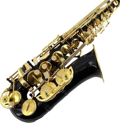 Alto Saxophone E Flat للبالغين طالب Sax eb alto مجموعة كاملة مع حمل ساكس علبة أشرطة لسان حال القصب ساكسفون طقم المبتدئين in Kuwait