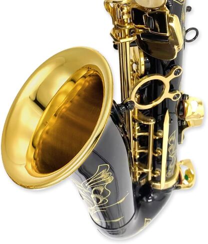 Alto Saxophone E Flat للبالغين طالب Sax eb alto مجموعة كاملة مع حمل ساكس علبة أشرطة لسان حال القصب ساكسفون طقم المبتدئين in Kuwait