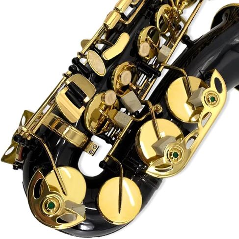 Alto Saxophone E Flat للبالغين طالب Sax eb alto مجموعة كاملة مع حمل ساكس علبة أشرطة لسان حال القصب ساكسفون طقم المبتدئين in Kuwait