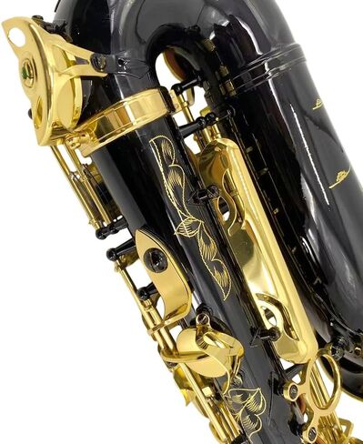 Alto Saxophone E Flat للبالغين طالب Sax eb alto مجموعة كاملة مع حمل ساكس علبة أشرطة لسان حال القصب ساكسفون طقم المبتدئين in Kuwait