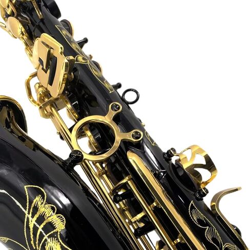 Alto Saxophone E Flat للبالغين طالب Sax eb alto مجموعة كاملة مع حمل ساكس علبة أشرطة لسان حال القصب ساكسفون طقم المبتدئين in Kuwait