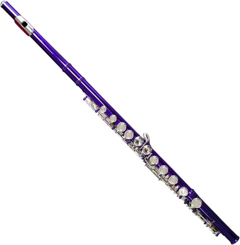Deloitte C Flute Closed Hole 16 Keys Nickel Plated, DFL-101, for Beginner Student Flute Instrument with Cleaning Kit, Carrying Case, Gloves, Tuning Rod in Kuwait