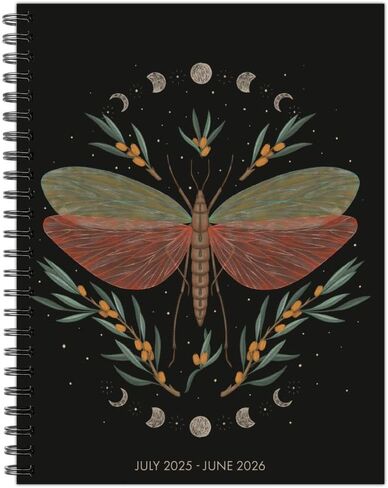 A Gottain's Gotmond's Shine Academic 2025 - يونيو 2026 6.5 × 8.5 مخطط Softcover الشهري الأسبوعي in Kuwait