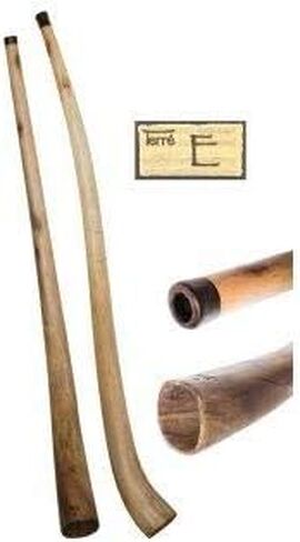 Hibiscus didgeridoo 66-71 بوصة مع حقيبة (لهجة د) in Saudi Arabia