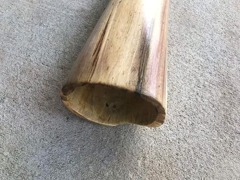 Hibiscus didgeridoo 66-71 بوصة مع حقيبة (لهجة د) in Saudi Arabia