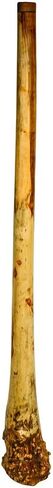 Handmade Didgeridoo Root Eucalyptus 59" length, Big bell end, tiny repair on the surface, no any affect to the sound, discounted price in Saudi Arabia