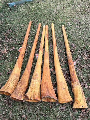 Handmade Didgeridoo Root Eucalyptus 59" length, Big bell end, tiny repair on the surface, no any affect to the sound, discounted price in Saudi Arabia