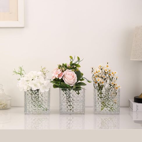 مجموعة مزهريات زجاجية مربعة من 6 ، 5 "× 5" × 5 "مزهريات الزهور للقطاعات المركزية ، إناء مربع للقطاعات المركزية ، إناء صغير لحفل الزفاف ، الحفلات ، ديكور المكتب المنزلي in Kuwait
