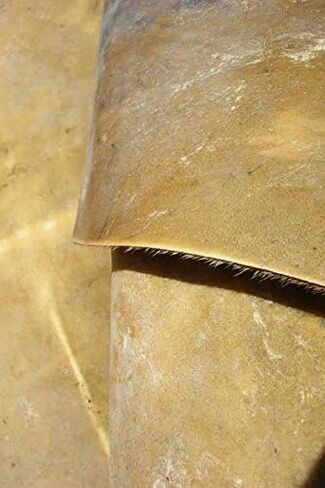 Africa Heartwood Project West African Goat Skin Djembe Drum Head - Thick, Shaved - Full size (21" minimum) in Saudi Arabia