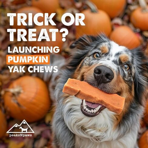 Yak Cheese Himalayan Dog Chews with Blueberry, High Protein, Natural Dog Treats, Dog Chew Sticks for Aggressive Chewers, Long Lasting Treat for Small, Medium & Large Dogs, 3 Chews in Kuwait