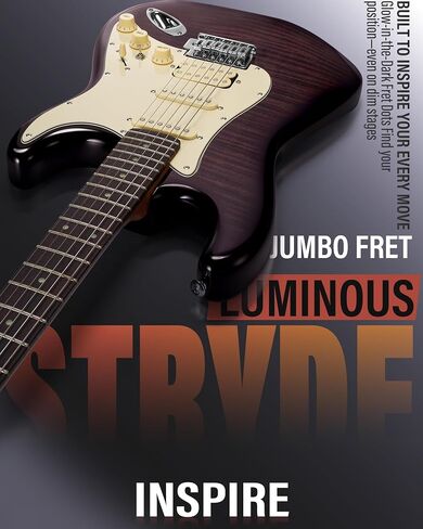 Aklot Stryde Electric Guitar مع تقسيم الملف: رقبة القيقب المحمصة ، قمة رسومات القيقب اللهب ، Pickups HSS Ceramic ، مجموعة الغيتار المبتدئين مع 10W AMP ، حقيبة أزعج ، حزام ، اختيارات ، كتاب درس ، Violet Venom in Kuwait