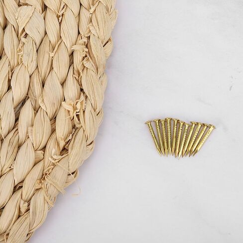 Gold Small Nails, 100PCS Hardware Nails Assortment Kit, Round Head Brass Nail, Tiny Finishing Nails Accessories for Household Wood Picture Hanging String Art (10mm Long) in Kuwait