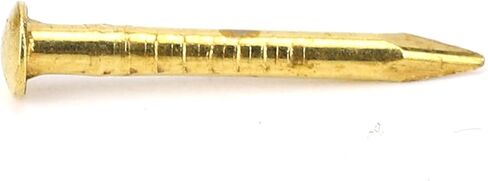 Gold Small Nails, 100PCS Hardware Nails Assortment Kit, Round Head Brass Nail, Tiny Finishing Nails Accessories for Household Wood Picture Hanging String Art (10mm Long) in Kuwait