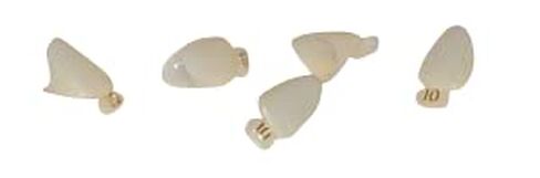 Dental Polycarbonate Temporary Crowns Shade Can Be Adjusted (5 Pack) (16) in Kuwait