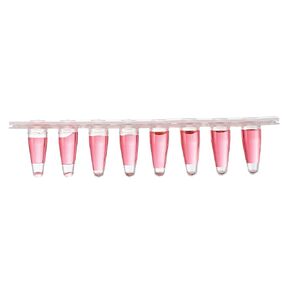 4E's USA Type B - PCR 8 Strip ، 0.1ml ، قبعات مسطحة بصرية غير مرفق ، شفافة ، 125 شرائط/حقيبة in Kuwait