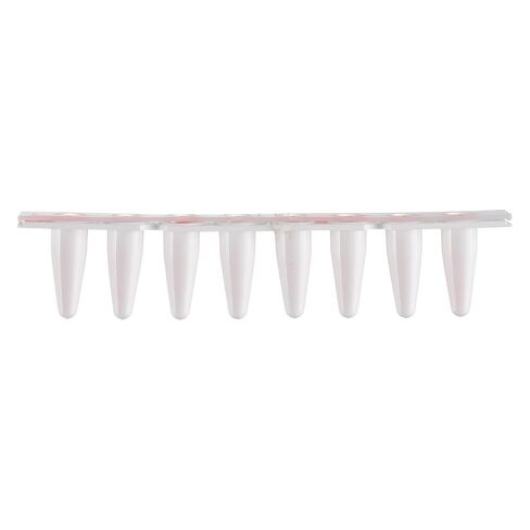 4e's USA Type B - PCR 8 Strip ، 0.1ml ، قبعات مسطحة بصرية غير مرفق ، أبيض ، 125 شرائط/حقيبة in Saudi Arabia