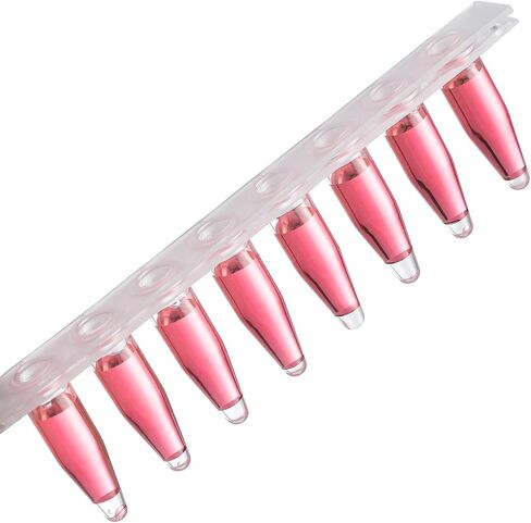 4E's USA Type B - PCR 8-Strip, 0.2mL, Unattached Optical Flat Caps, Transparent, 125 Strips/Bag, 10 Bags in Saudi Arabia