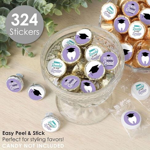 Big Dot of Happiness Dental School Grad - Dentistry and Hygienist Graduation Party Round Candy Sticker Favors - Labels Fit Chocolate Candy (1 sheet of 108) in Saudi Arabia