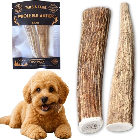 ذيول وحكايات عظام الأيائل الكاملة للكلاب الصغيرة 4-6 "عظام الكلاب طويلة الأمد ودائمة للمضغرين العدوانيين أو الجراء التسنين لا تضافات ، فائقة الصف أ ، سقيفة بشكل طبيعي في الولايات المتحدة الأمريكية in Kuwait