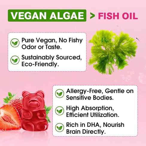 2 Pack Omega-3 Gummies Potent Amaae Omega Source ، Boost Brain ، Eye and Immune ، مع DHA و EPA Vegan & Sugar Free ، نكهة برتقالية ، 120 COUNT in Kuwait