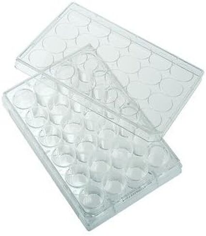 Celltreat 229111 12 Clear Polystyrene Well Tissue Culture Plate with Lid, Sterile, 3.85 cm2 Cell Growth Area, Flat Bottom, Individual Pack (Pack of 50) in Saudi Arabia