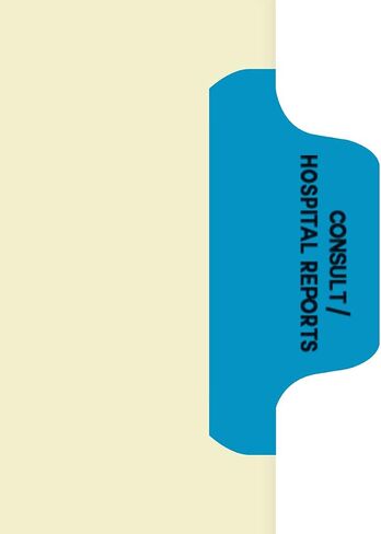Individual Chart Divider Sheets Used to Build Chart Divider Sets for Medical Practices, 1/6th Cut, Tabs on Side, Position: #6, Text: Insurance, Color: Medium Blue (Pack of 100) in Saudi Arabia