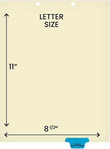 Individual Chart Divider Sheets Used to Build Chart Divider Sets for Medical Practices, 1/6th Cut, Tabs on Bottom, Position: #1, Text: Lab/Special Reports, Color: Light Green (Pack of 100) in Saudi Arabia