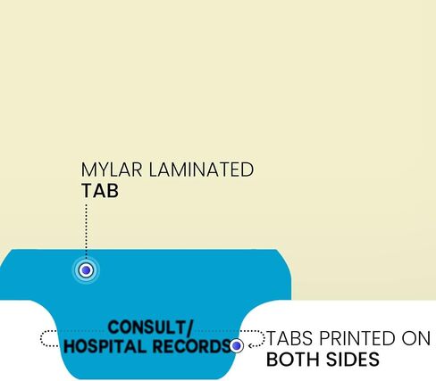 Individual Chart Divider Sheets Used to Build Chart Divider Sets for Medical Practices, 1/6th Cut, Tabs on Bottom, Position: #1, Text: Lab/Special Reports, Color: Light Green (Pack of 100) in Saudi Arabia