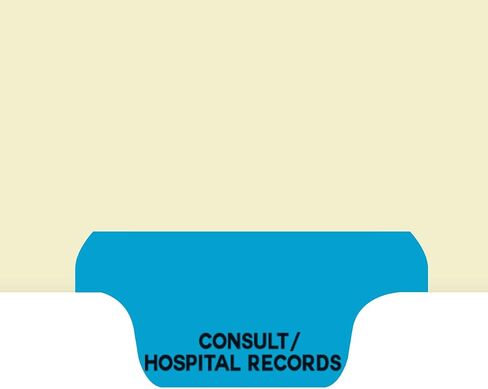 Individual Chart Divider Sheets Used to Build Chart Divider Sets for Medical Practices, 1/6th Cut, Tabs on Bottom, Position: #1, Text: Lab/Special Reports, Color: Light Green (Pack of 100) in Saudi Arabia