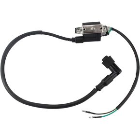 Ignition Coil with 90° Cap for Coolster 125cc 3050B ATV-3050B 3050 B3050A 110cc Kids 4 Quad Four Wheeler Roketa Baja Kazuma Meerkat 50cc Falcom 110cc 70cc Chinese Quad ATV Dirt Bike