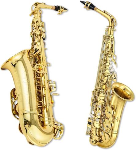 Yinfente Eb Alto Saxophone For Beginners Adult,Saxophone Student,E Flat Alto Sax Full Kit With Reeds,Pads Cushions,Hard Carrying Case,Cleaning Cloth & Rod,Mouthpiece,Gloves,Neck Strap Gold in Saudi Arabia
