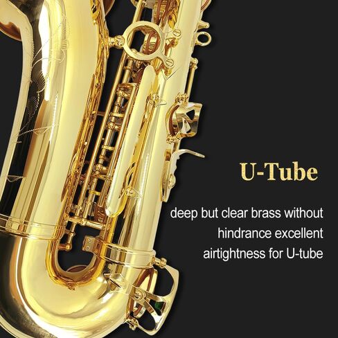 Yinfente Eb Alto Saxophone For Beginners Adult,Saxophone Student,E Flat Alto Sax Full Kit With Reeds,Pads Cushions,Hard Carrying Case,Cleaning Cloth & Rod,Mouthpiece,Gloves,Neck Strap Gold in Saudi Arabia