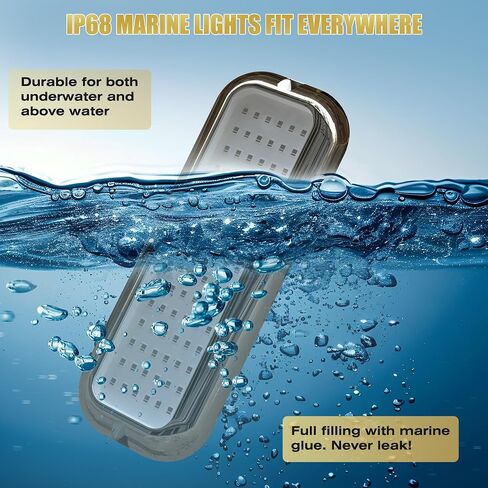 Goldlife B5 Underwater Boat Lights, Blue 2x3000LM DC10-30V IP68, 316L Shell & Clear Lens, Marine Waterproof Lights for Yacht Boat Transom Pontoon Exterior Interior Deck Stern RV Fishing (B5-3) in Saudi Arabia