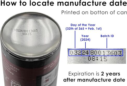 FP200 Fire Rated Expanding Foam - 24oz Can in Saudi Arabia
