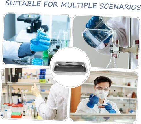BESPORTBLE Stainless Steel Dissecting Tray Lab Dissection Pan for Biology and Anatomy Education Easy to Clean Safe Design for Schools and Laboratories in Saudi Arabia