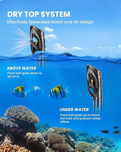 OutdoorMaster Mobula Snorkeling Gear for Adults,Mask Fins Snorkel Set with Panoramic View Anti-Fog, Dry Top Scuba Gear for Swimming Snorkeling Diving in Saudi Arabia