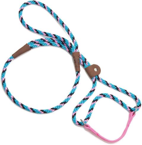 Mendota Pet Dog Walker ، Martingale Style Leash - Combo Leash & Term ، مصنوع في الولايات المتحدة الأمريكية - أسود ، 3/8 في × 6 أقدام - للسلالات الصغيرة/المتوسطة in Kuwait