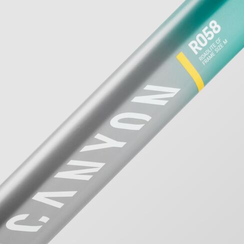 Canyon Roadlite CF 8 in Saudi Arabia