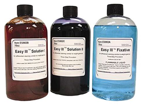 ES902-16 Easy III Step Stain Set, 3 oz.-16 oz. Bottles in Kuwait