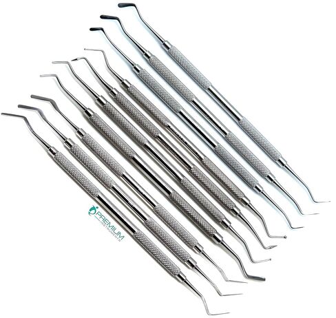 10 Pcs Dental Restorative Composite & Plastic Filling Root Canal Plugger Instruments in Kuwait