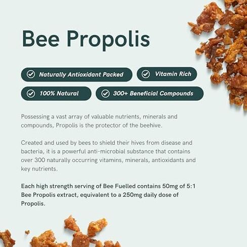 Dr Sosnowski's NeuroBee Brain Supplements with Royal Jelly, Lion's Mane + Reishi Mushroom | Energy, Mental Performance + Cognitive Function Support, 60ct in Kuwait