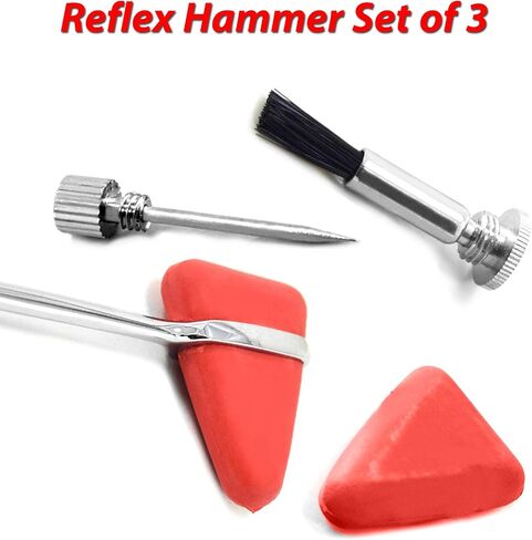 Professional Medical Reflex Hammer | Neurological Diagnostic | Surgical Taylor Percussion | Rubber Head | Neurological Neuro Instruments Tools (Reflex Hammer with Pin Brush) in Saudi Arabia