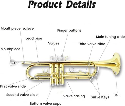 Yinfente Bb Standard Trumpet Set for Beginner or Advance Student, Brass Student Trumpet Instrument With Hard Case, 7C Mouthpiece, Cleaning Kit,White Gloves Glod in Kuwait