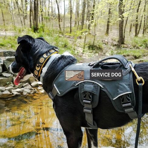 Service Dog Patch, Do Not Pet, Best Friend, in Training, Emotional Support Patch, (Medium-8 Pcs) in Saudi Arabia