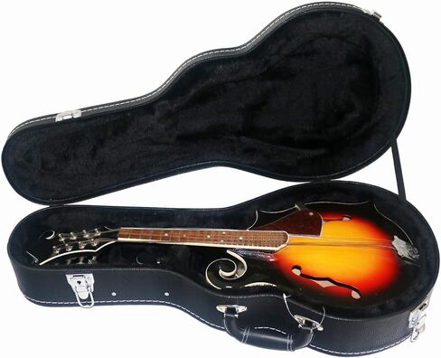 Mandolin Case, F-Style and A-Style Mandolin Case, Litchi pattern Leather Bulge Surface with Plush Interior Wooden Case (Black) in Saudi Arabia